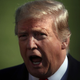 Image for article titled Trump Back to Threatening Border Closure